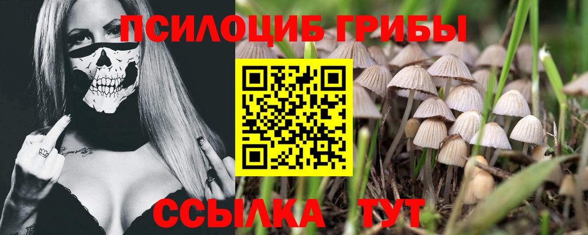 Знаменск  Псилоцибиновые грибы MAGIC MUSHROOMS  Вход с VPN  Псилоцибиновые грибы ЛСД 